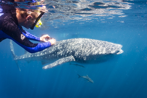 karijini ningaloo photo tour example 7